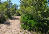 Parcel·la urbanitzable en venda a Reus ref.: TR110956 foto