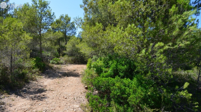 Tarragona - Reus - 6579m2