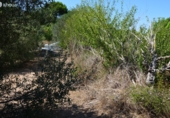 Parcel·la urbanitzable en venda a Reus ref.: TR110956 foto