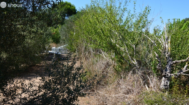 Tarragona - Reus - 6579m2