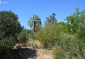 Parcel·la urbanitzable en venda a Reus ref.: TR110956 foto