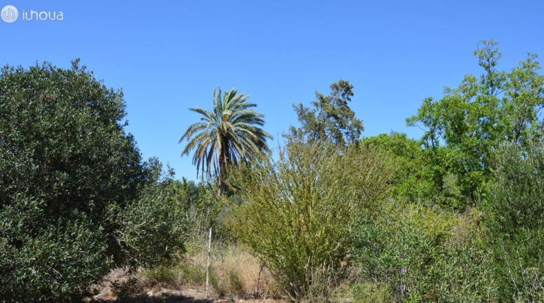 Tarragona - Reus - 6579m2