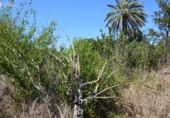 Parcel·la urbanitzable en venda a Reus ref.: TR110956 foto