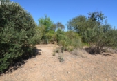 Parcel·la urbanitzable en venda a Reus ref.: TR110956 foto