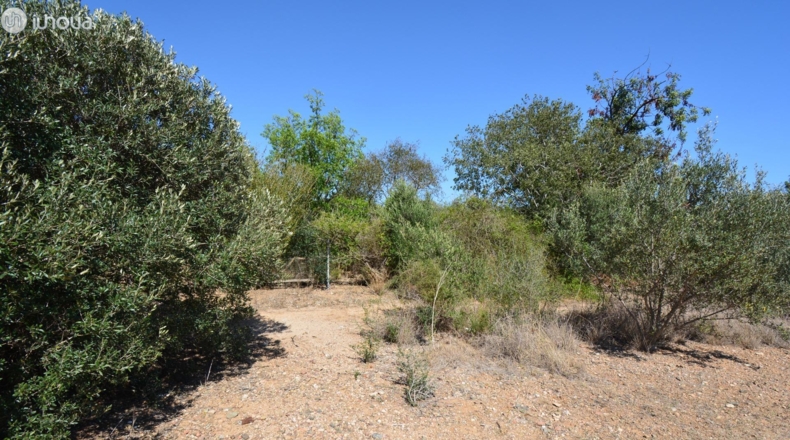 Tarragona - Reus - 6579m2