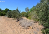 Parcel·la urbanitzable en venda a Reus ref.: TR110956 foto