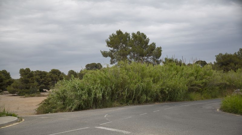 Tarragona - Tarragona - 21689m2