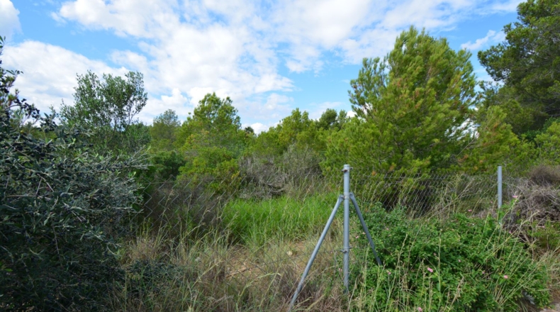 Tarragona - Mont-roig del Camp - 1003m2