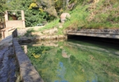 Finca rústica en venda a la España, Castellvell del Camp, ref.: TR262621 foto