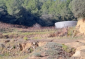 Finca rústica en venda a la España, Castellvell del Camp, ref.: TR262621 foto