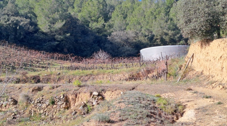 Tarragona - Castellvell del Camp - 32000m2