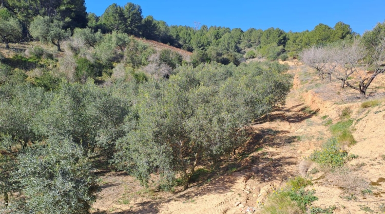 Tarragona - Castellvell del Camp - 32000m2