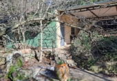 Finca rústica en venda a la España, Castellvell del Camp, ref.: TR262621 foto