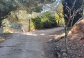 Finca rústica en venda a la España, Castellvell del Camp, ref.: TR262621 foto
