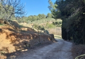 Finca rústica en venda a la España, Castellvell del Camp, ref.: TR262621 foto