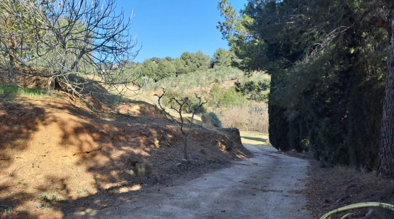 Tarragona - Castellvell del Camp - 32000m2
