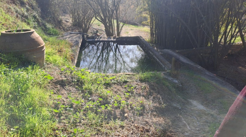 Tarragona - Castellvell del Camp - 32000m2