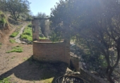 Finca rústica en venda a la España, Castellvell del Camp, ref.: TR262621 foto