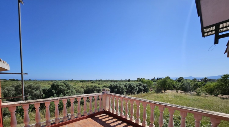 Tarragona - Riudoms - 13535m2