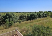 Finca rústica en venta en Riudoms ref: TR234657 foto