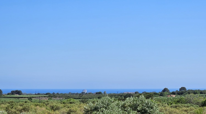 Tarragona - Riudoms - 13535m2