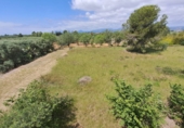 Finca rústica en venta en Riudoms ref: TR234657 foto