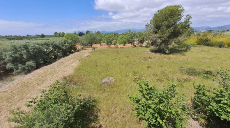 Tarragona - Riudoms - 13535m2