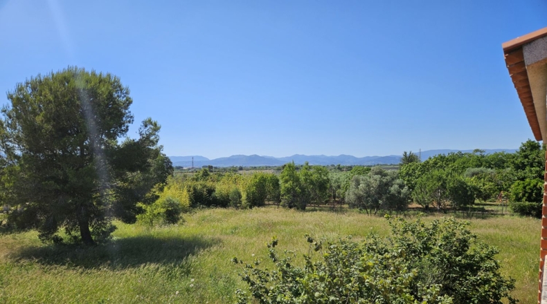 Tarragona - Riudoms - 13535m2