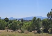 Finca rústica en venta en Riudoms ref: TR234657 foto