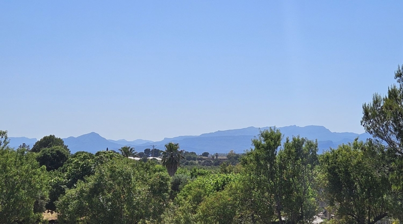 Tarragona - Riudoms - 13535m2