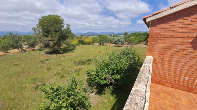 Tarragona - Riudoms - 13535m2