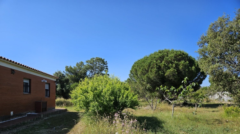 Tarragona - Riudoms - 13535m2