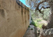 Finca rústica en venta en Riudoms ref: TR234657 foto