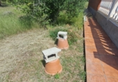 Finca rústica en venta en Riudoms ref: TR234657 foto