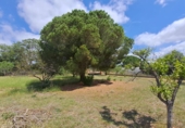 Finca rústica en venta en Riudoms ref: TR234657 foto