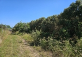 Finca rústica en venta en Riudoms ref: TR234657 foto