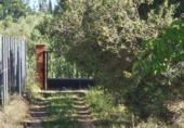 Finca rústica en venta en Riudoms ref: TR234657 foto