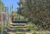 Finca rústica en venta en Riudoms ref: TR234657 foto