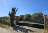 Finca rústica en venta en Riudoms ref: TR234657 foto