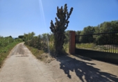Finca rústica en venta en Riudoms ref: TR234657 foto