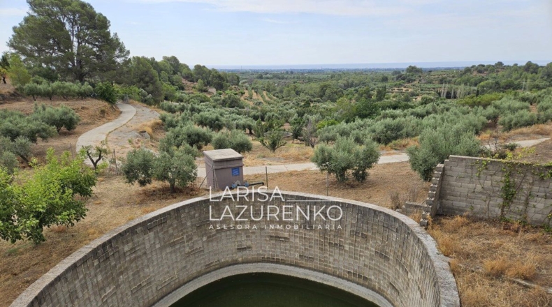 Tarragona - Riudecanyes - 40000m2