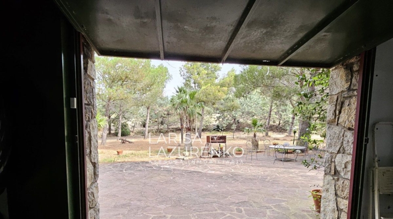Tarragona - Riudecanyes - 40000m2