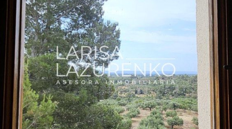 Tarragona - Riudecanyes - 40000m2