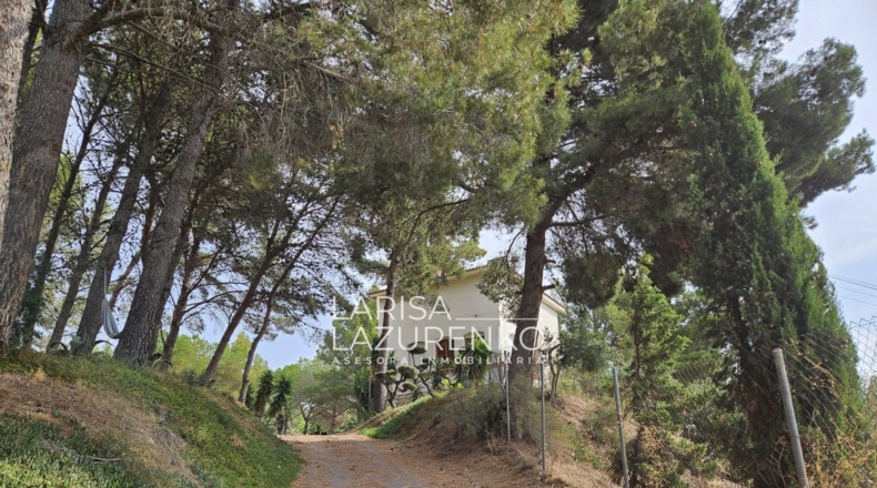 Tarragona - Riudecanyes - 40000m2