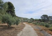 Chalet independiente con terreno en venta en Riudecanyes ref: TR263298 foto