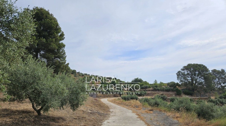Tarragona - Riudecanyes - 40000m2