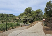 Chalet independiente con terreno en venta en Riudecanyes ref: TR263298 foto