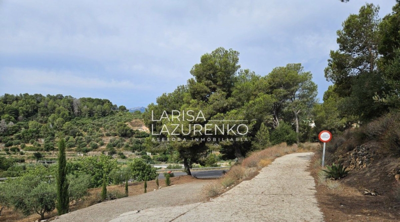 Tarragona - Riudecanyes - 40000m2