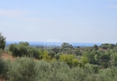 Chalet independiente con terreno en venta en Riudecanyes ref: TR263298 foto