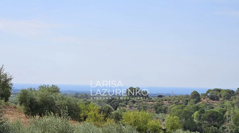 Tarragona - Riudecanyes - 40000m2